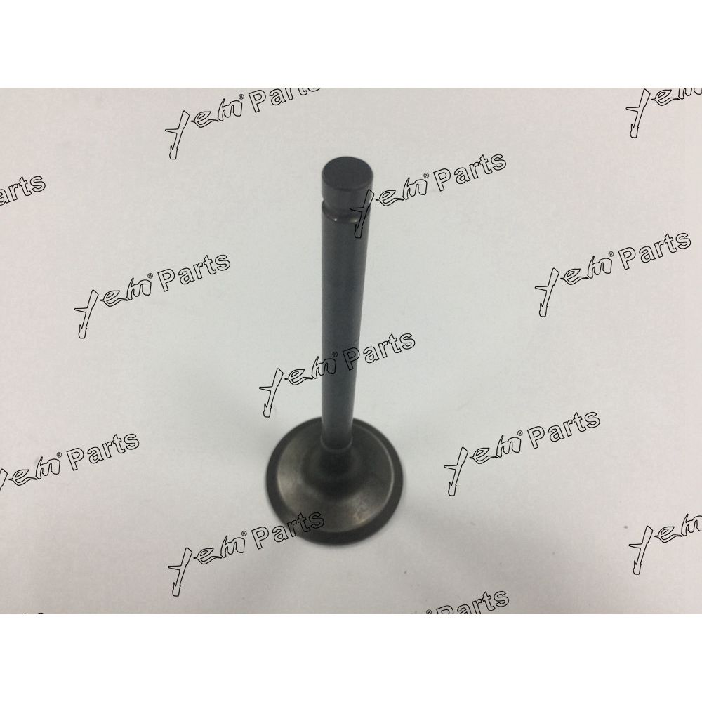 Valve 3142D041 For Perkins 1106 Engine